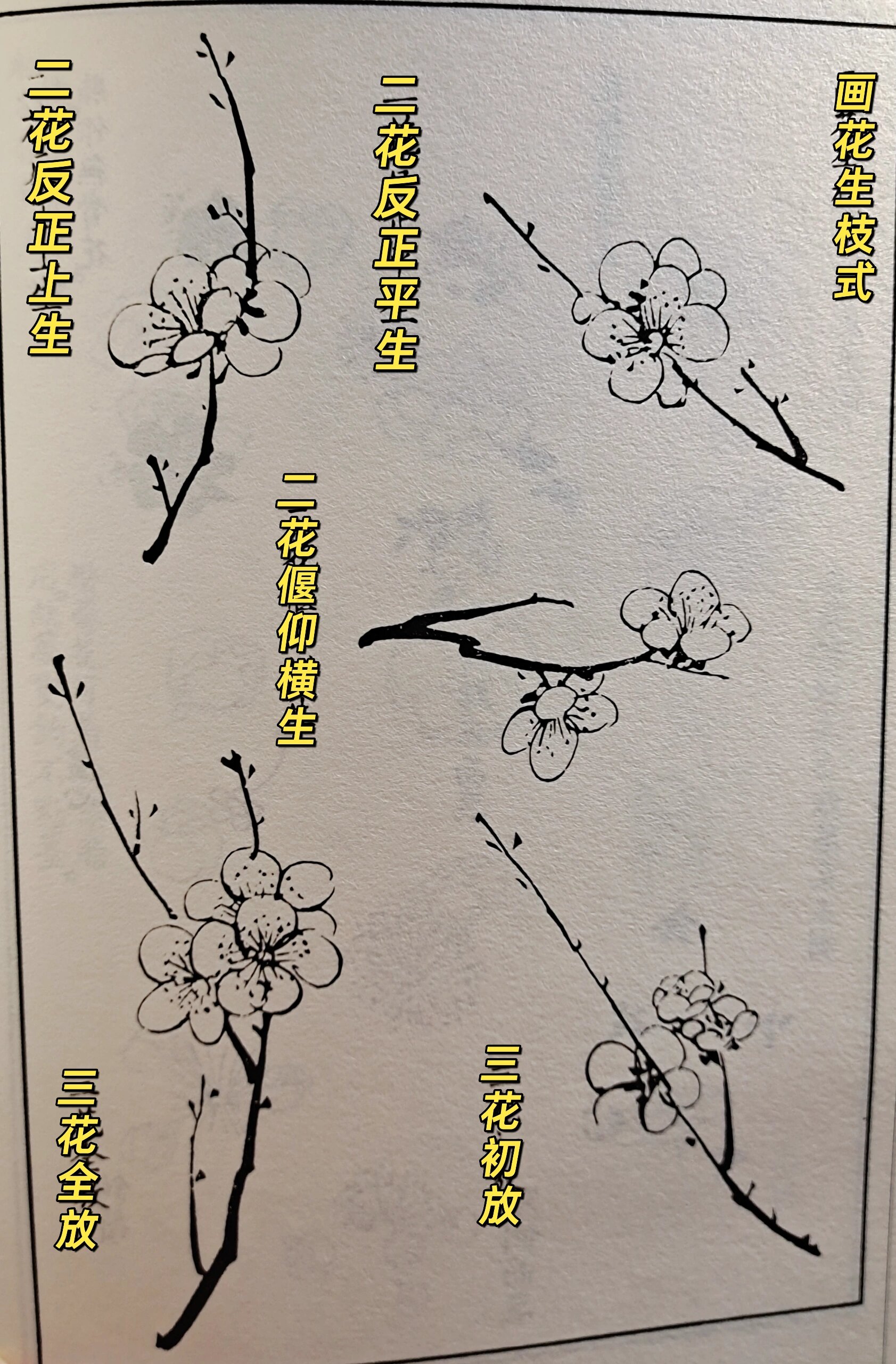 写意梅花画法