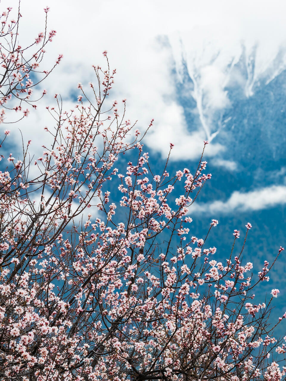 米林天气在线 米林天气在线