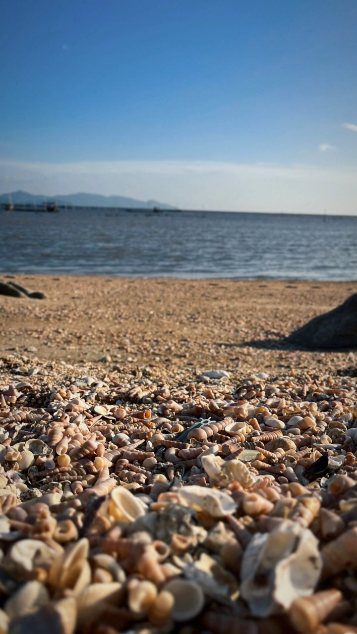 江门值得一去的贝壳沙滩9915 9915台山·青山咀 因为一句"去