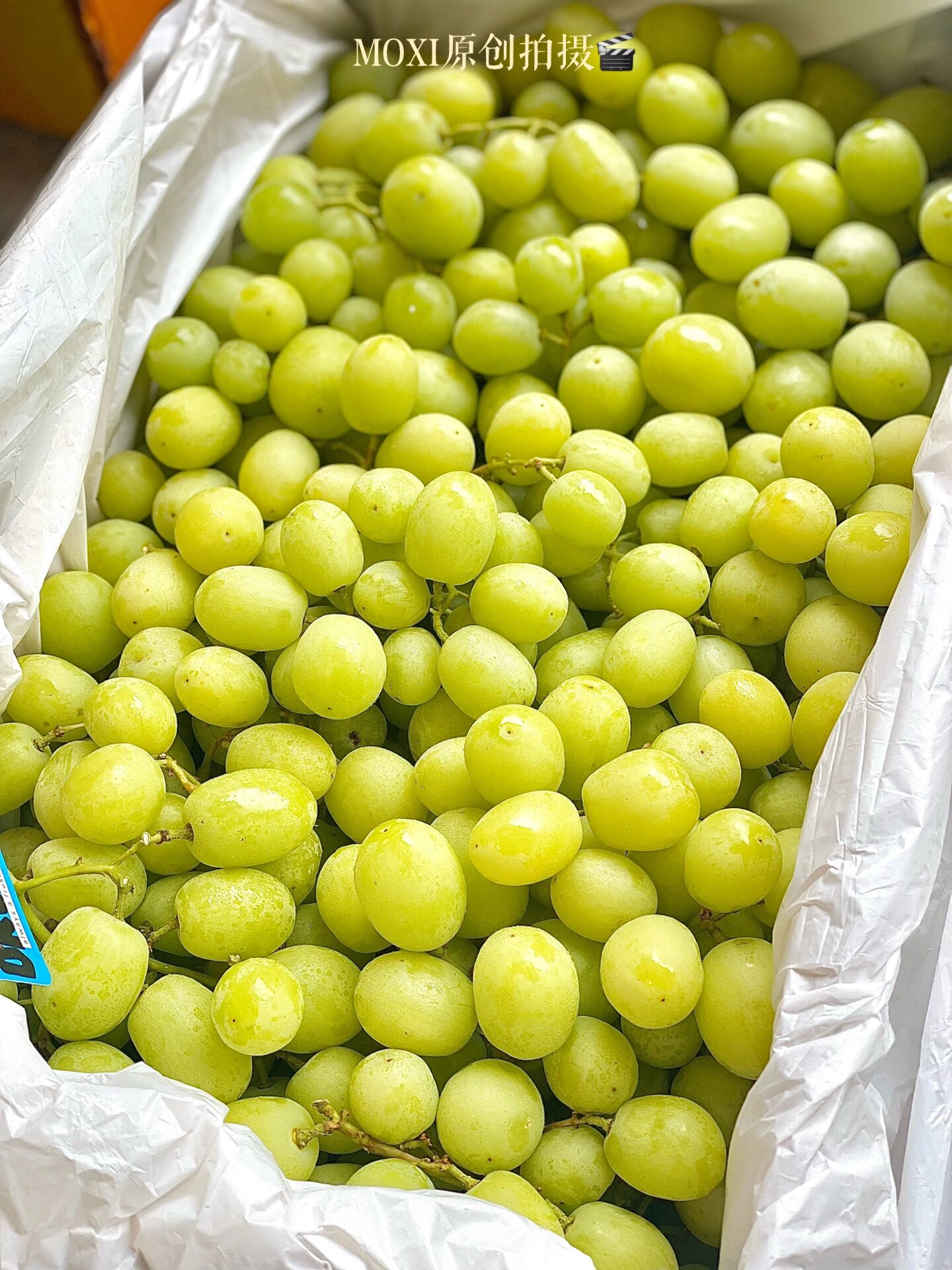 甜地球91『秋天酥95』青提91