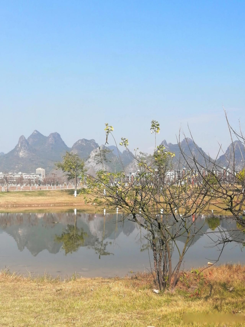 大地之旅冬日特别篇广西 广西贺州爱莲湖公园,树木翠绿,湖水清澈,一片