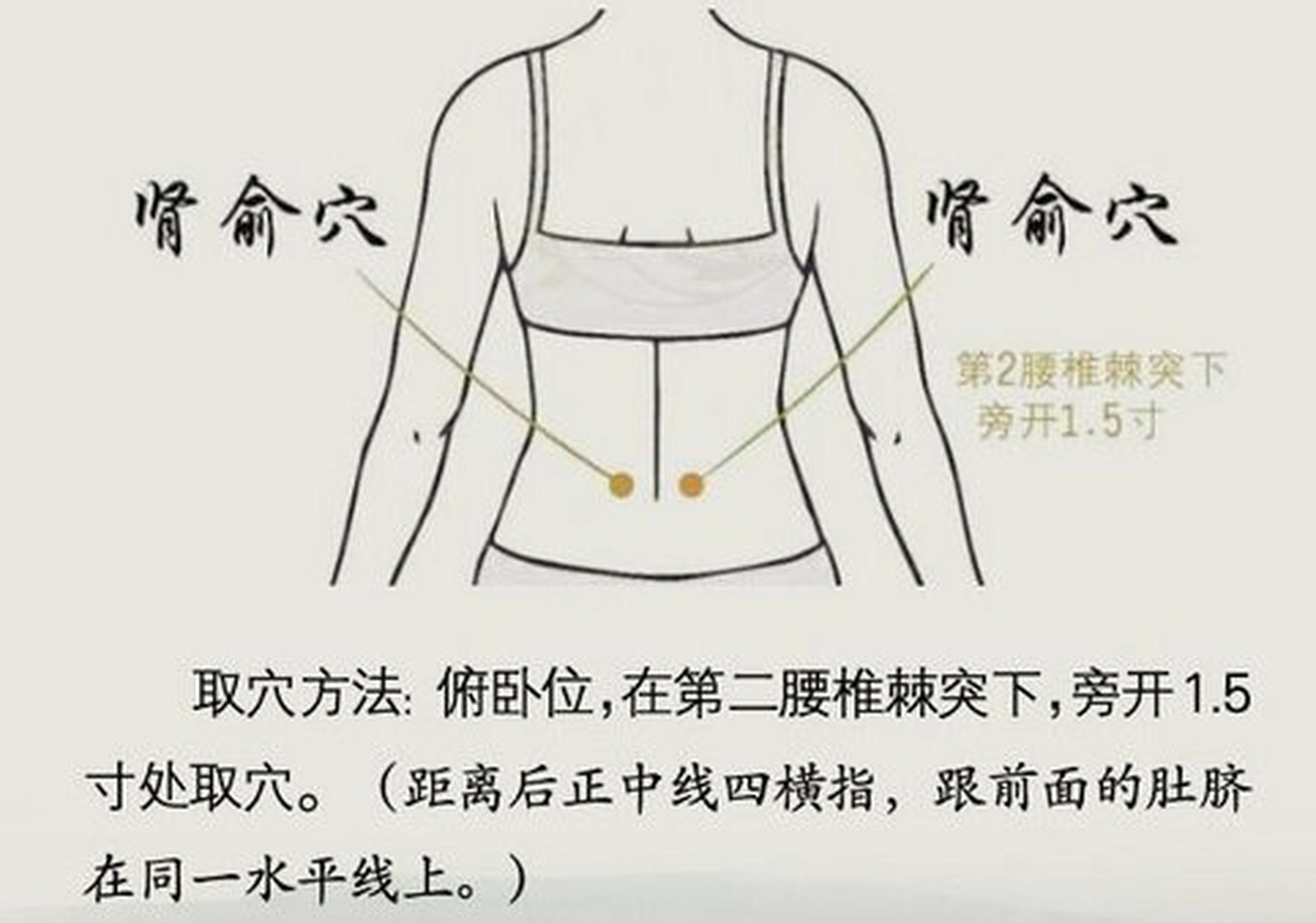 【每日一穴】肾俞穴,身体肿胖,多用此穴 肾俞穴可壮肾阳!