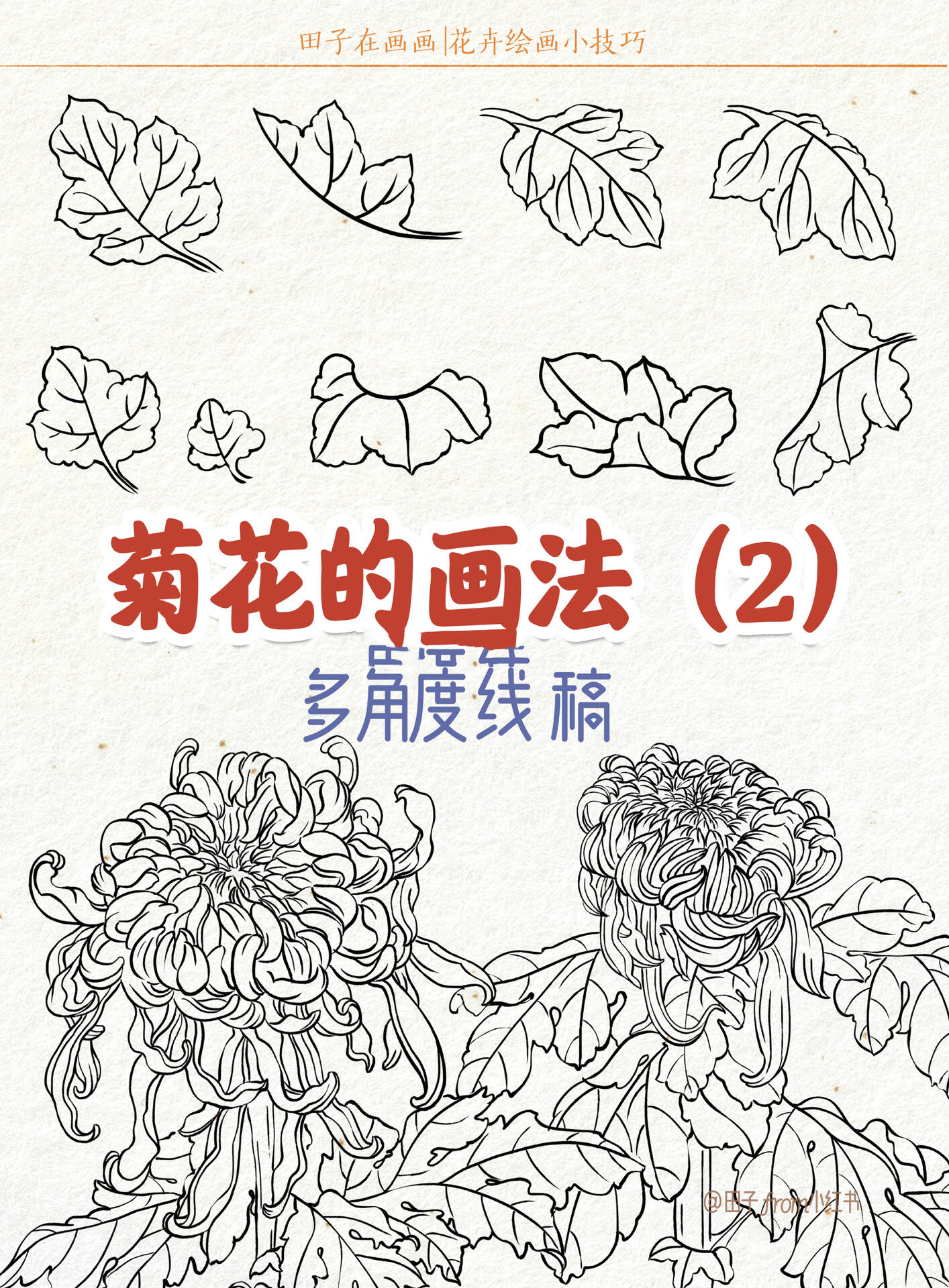 排笔画花瓣入门教程图片