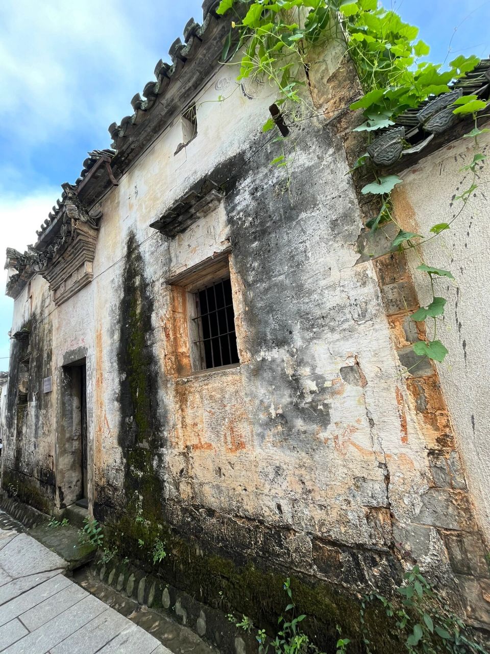 屏山写生基地简介图片