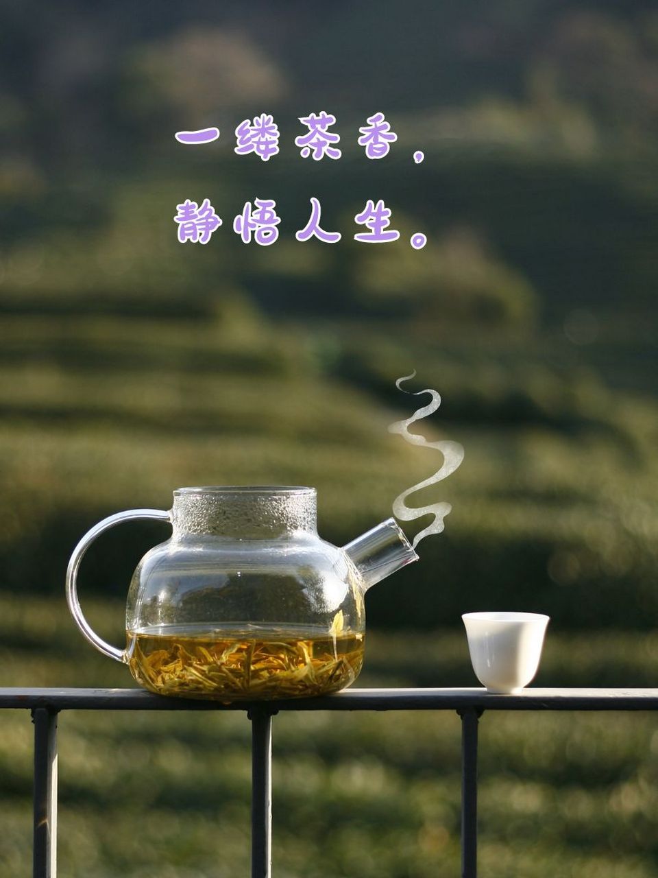 茶禅一味意境图片图片