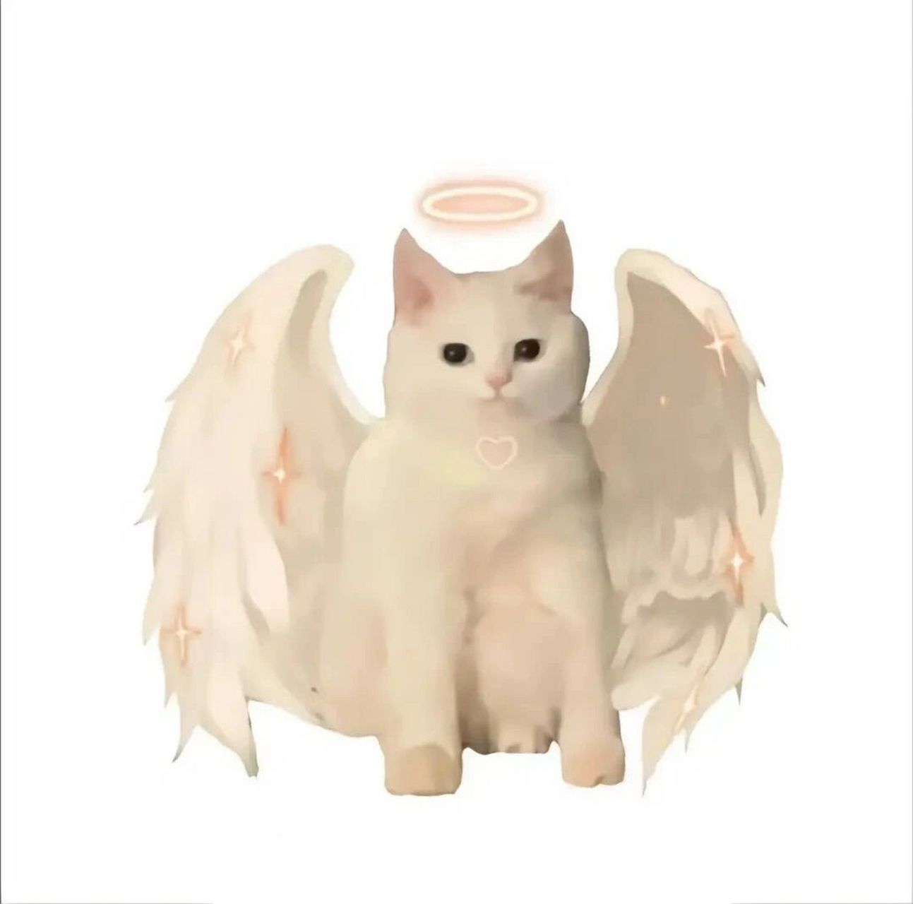 在身高差25cm的男朋友眼里的我 和男朋友身高相差25cm 我是他的q版