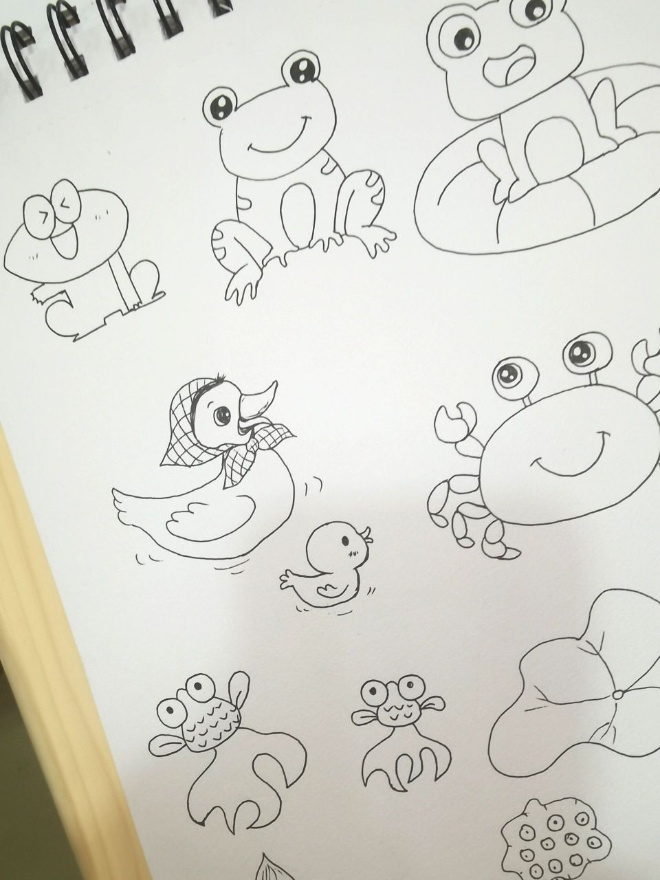 蝌蚪的简笔画 可爱图片