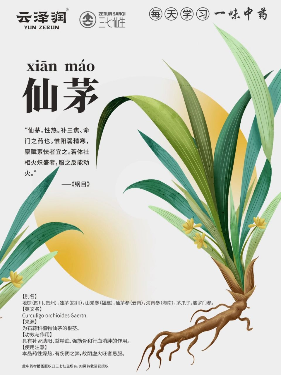 若体壮相火炽盛者,服之反能动火.