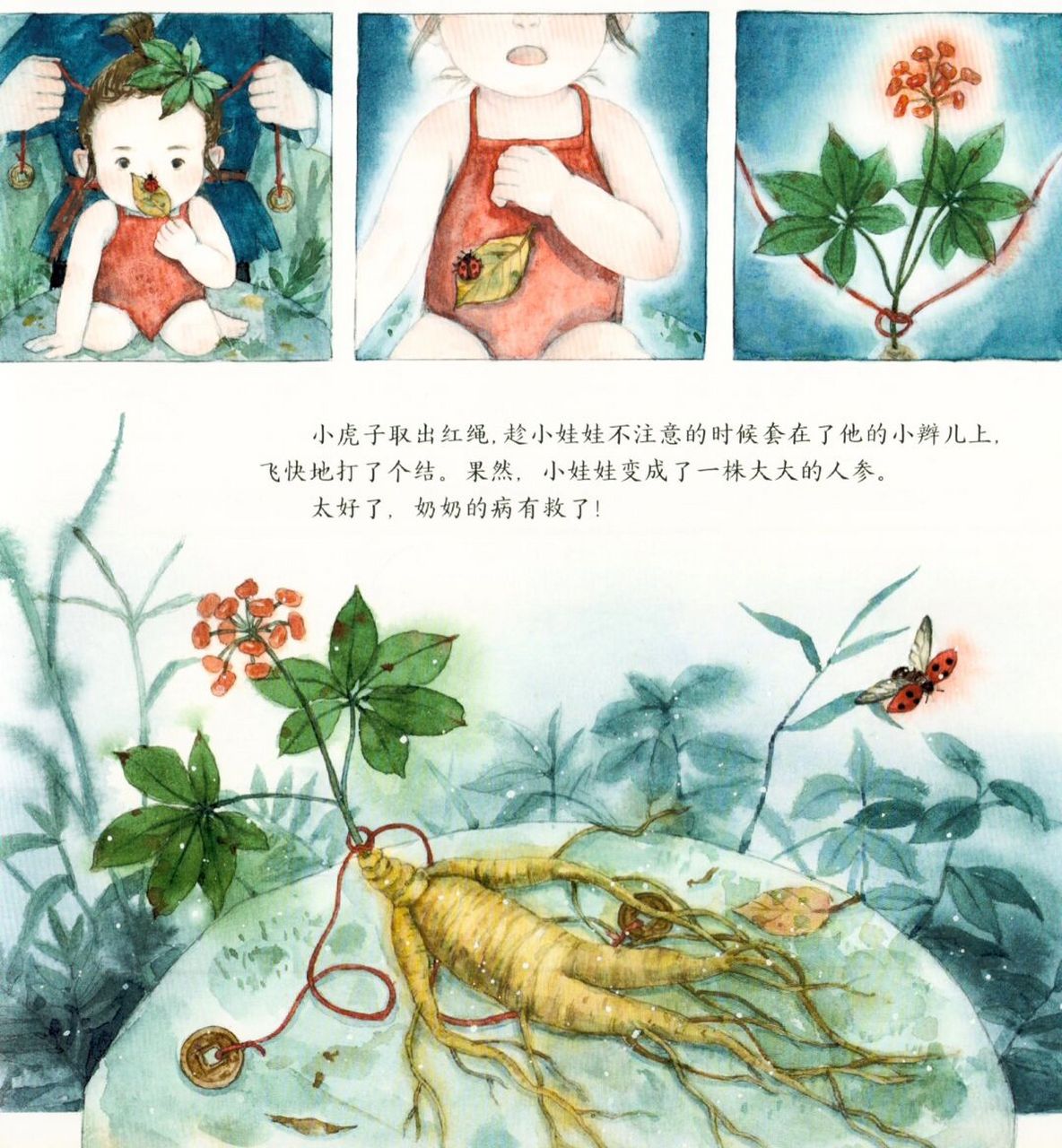 中国传统文化故事|人参娃娃 传承中华美德,教孩子学会感恩.