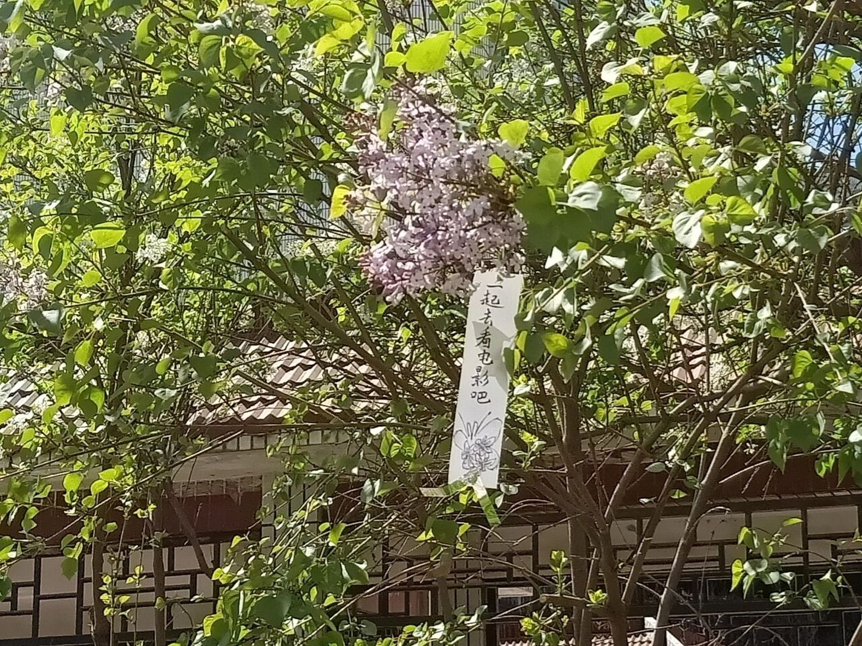 衡水安平至臻中学 有知道衡水安平至臻中学的小伙伴吗?