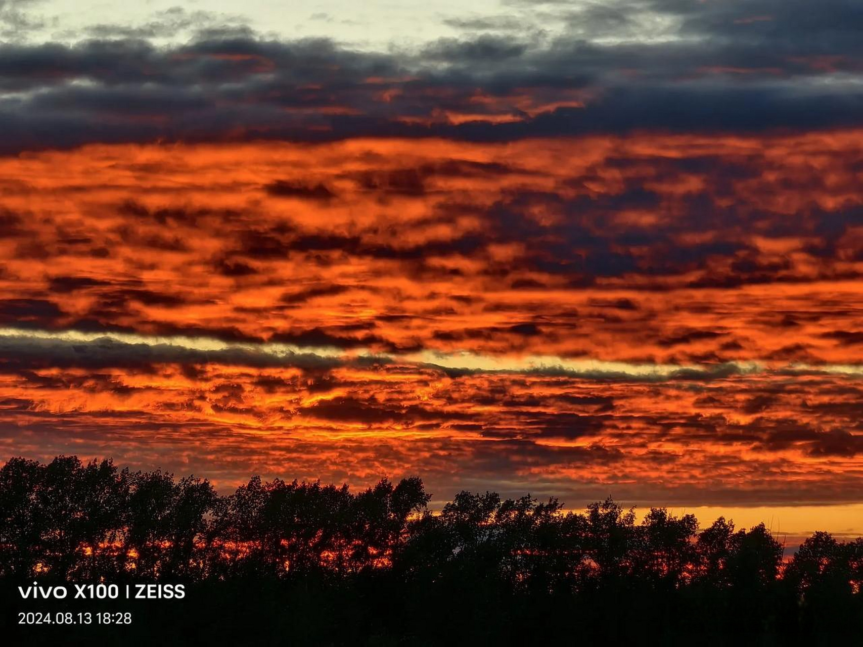 在火烧云的照耀下,一切都被染成了美丽的火红色,仿佛整个天空都在燃烧