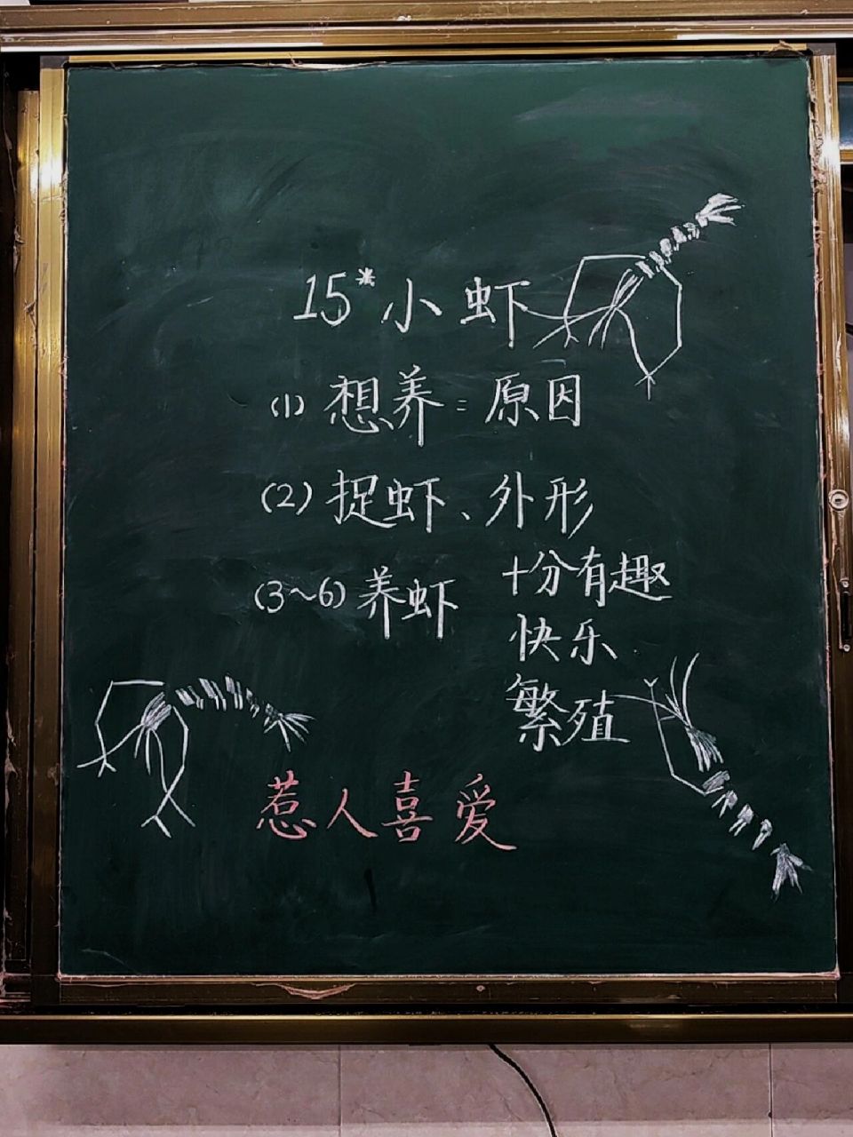 三下语文第四单元《小虾》板书 板子打卡 94上学的小虾 画起来很