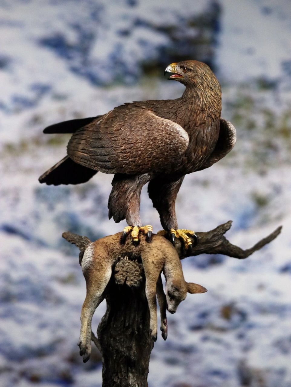 鹰视狼顾你知道吗?