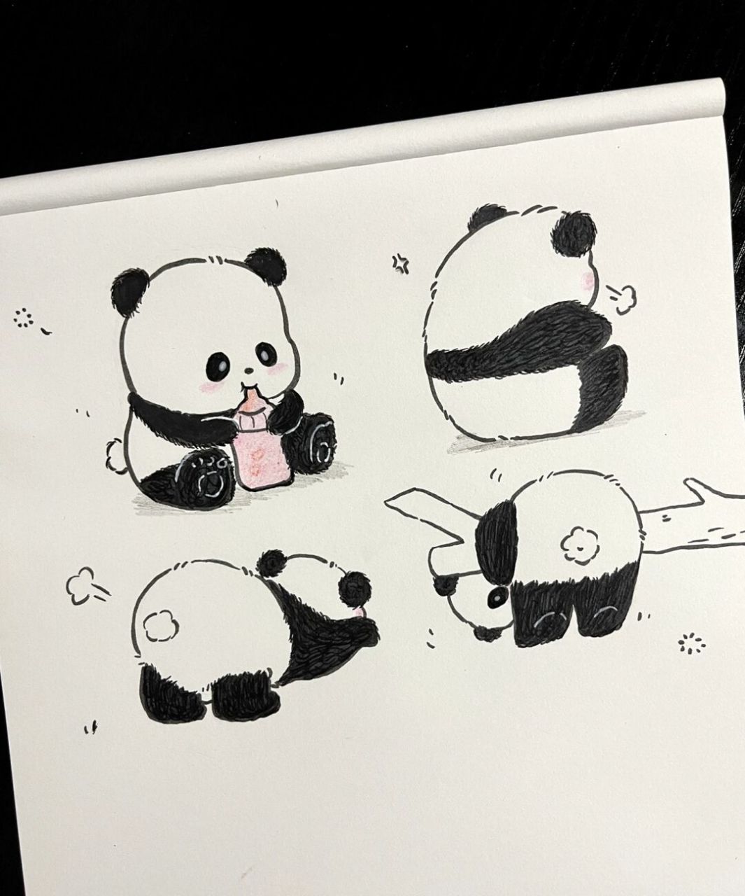 画小熊猫一步一步图片