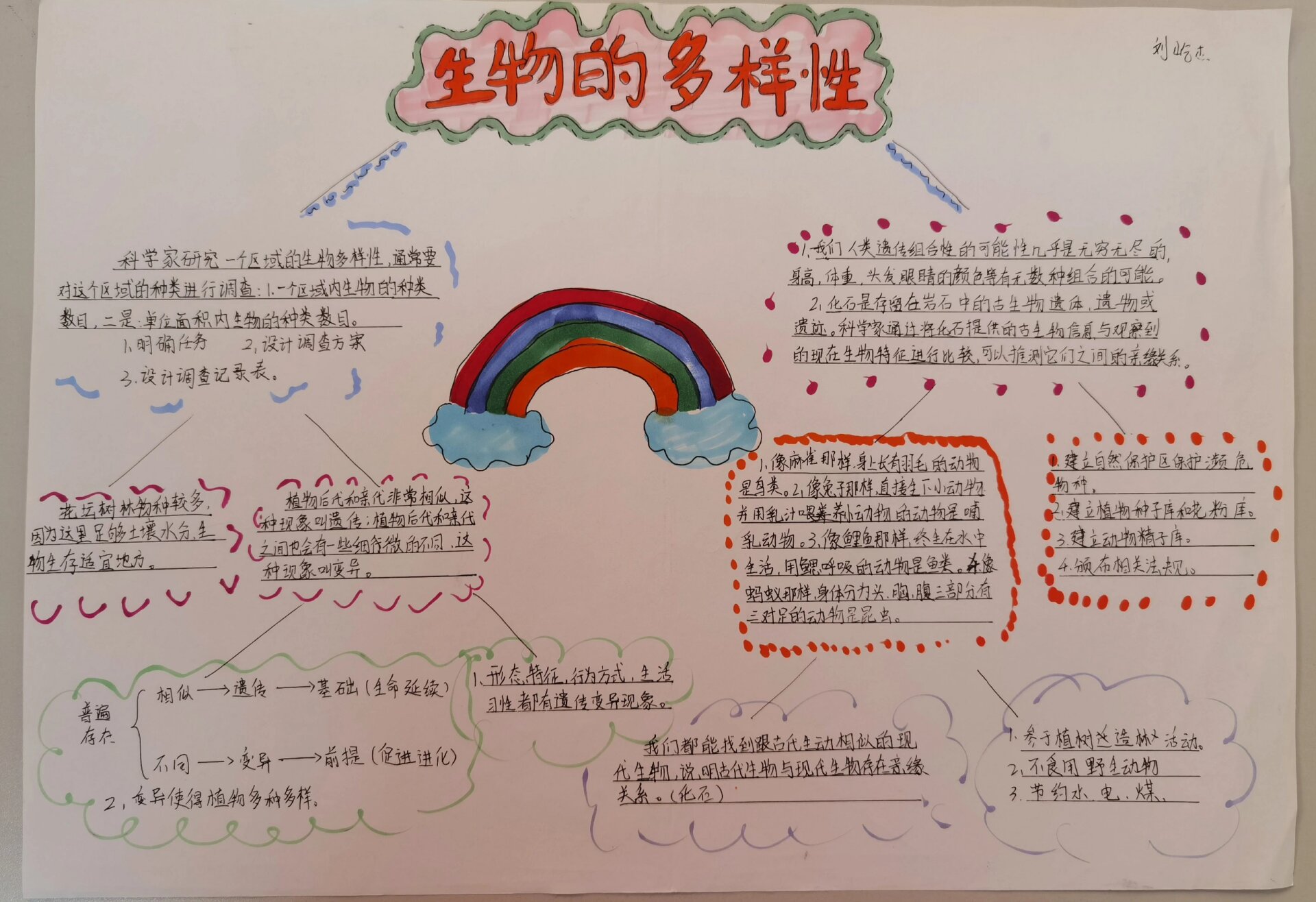 六下第二单元《生物的多样性》思维导图