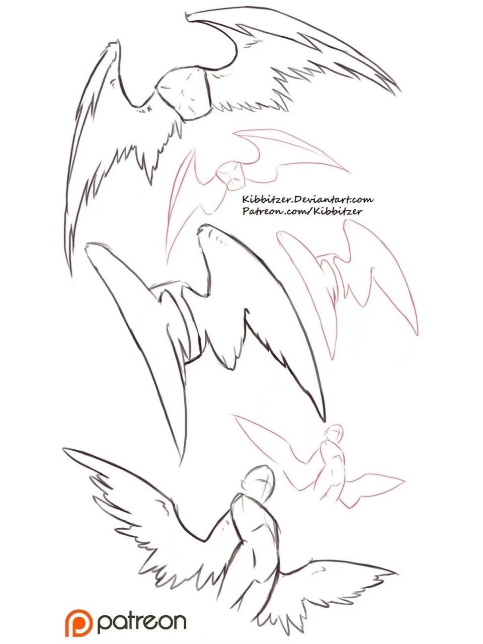 72鸟类翅膀的画法72 ☆很多新手在画翅膀的时候无从下手,本质是不