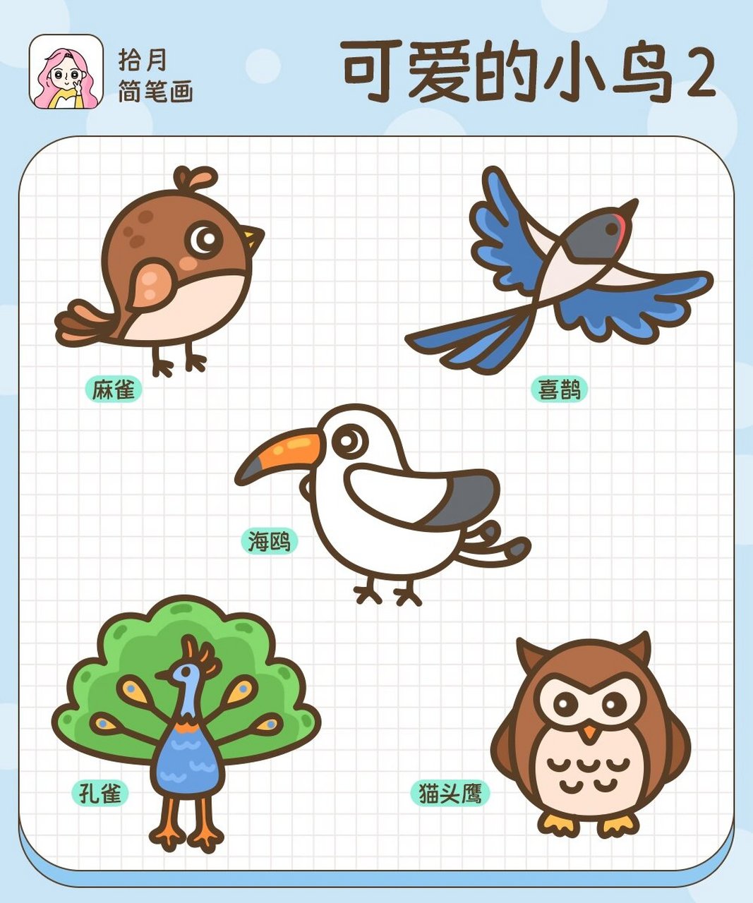 拾月简笔画·可爱的小鸟2🐦合集 又画了几个不同品种的鸟儿