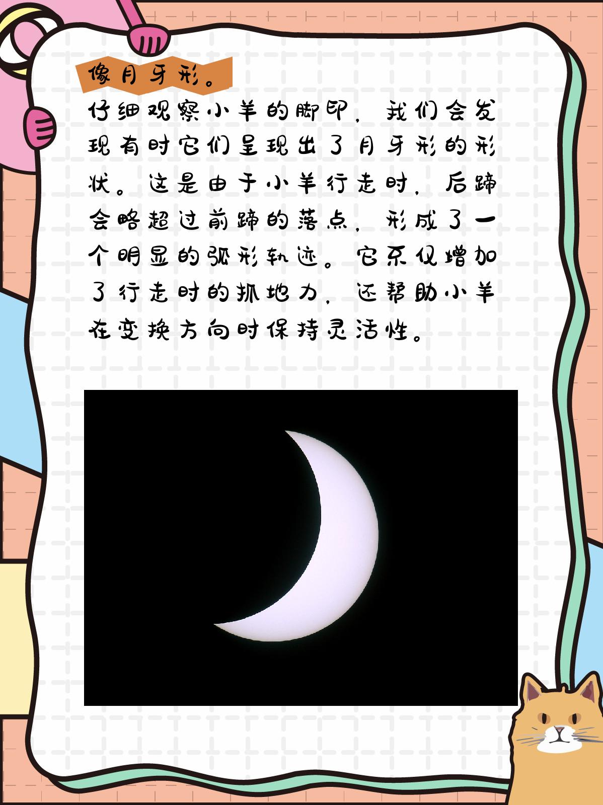 那么,小羊的脚印究竟像什么呢?让我们一起来探究一下.