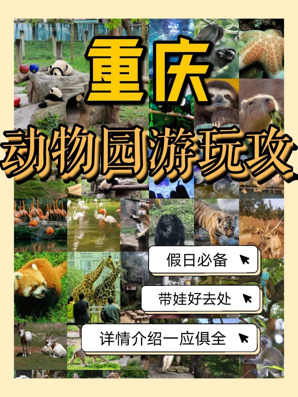 重庆动物园最全游玩攻略 82重庆动物园 90票价:24.