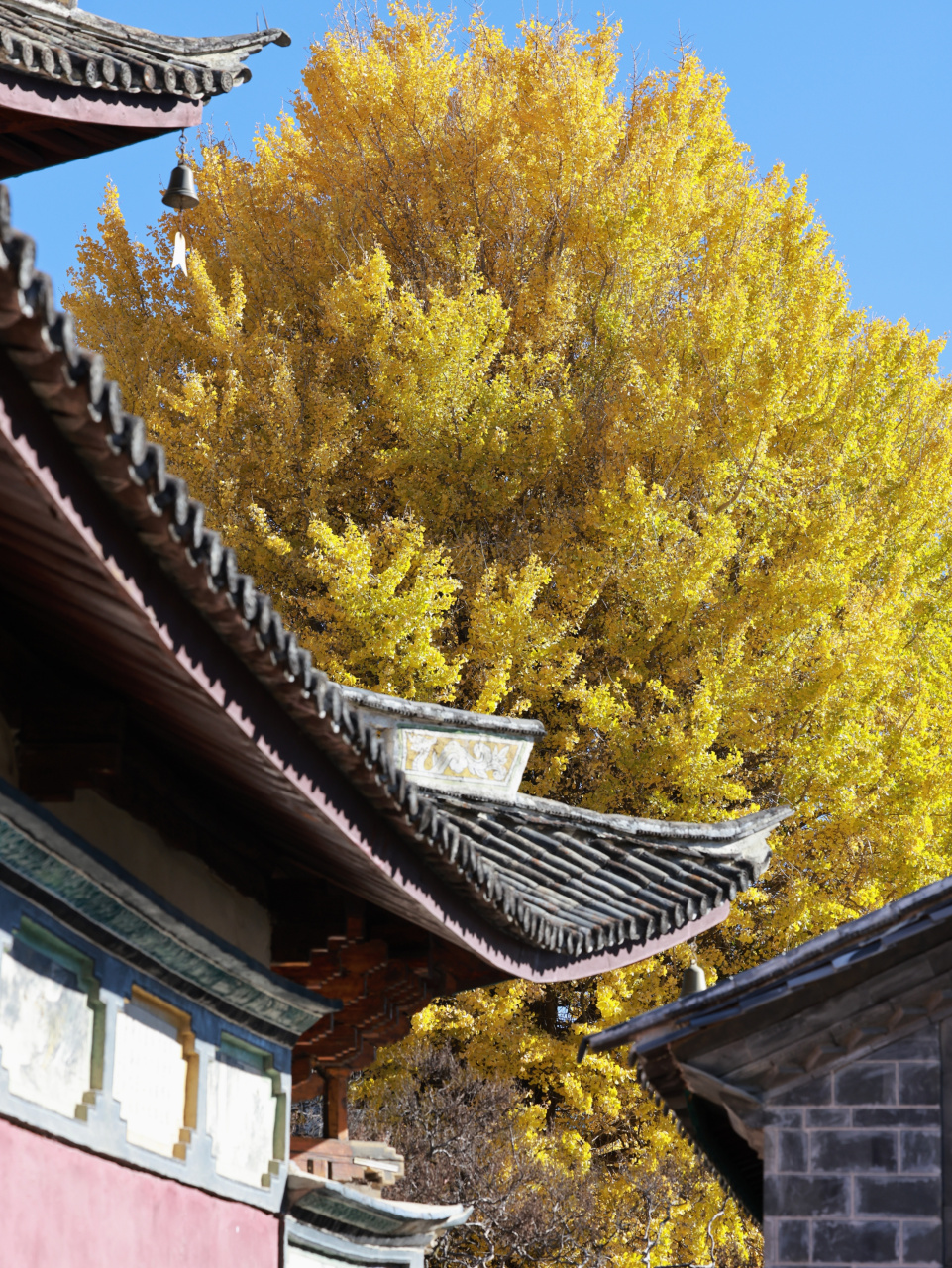 跟我一起游云南##城市大玩家##无违旅行#  大理凤羽古镇|300年古