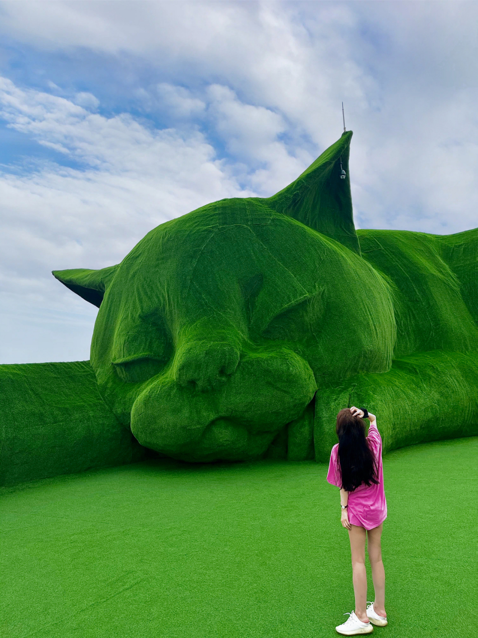 淮安巨猫岛|一个你不知道的治愈小岛 淮安一日游攻略96 发现了一个