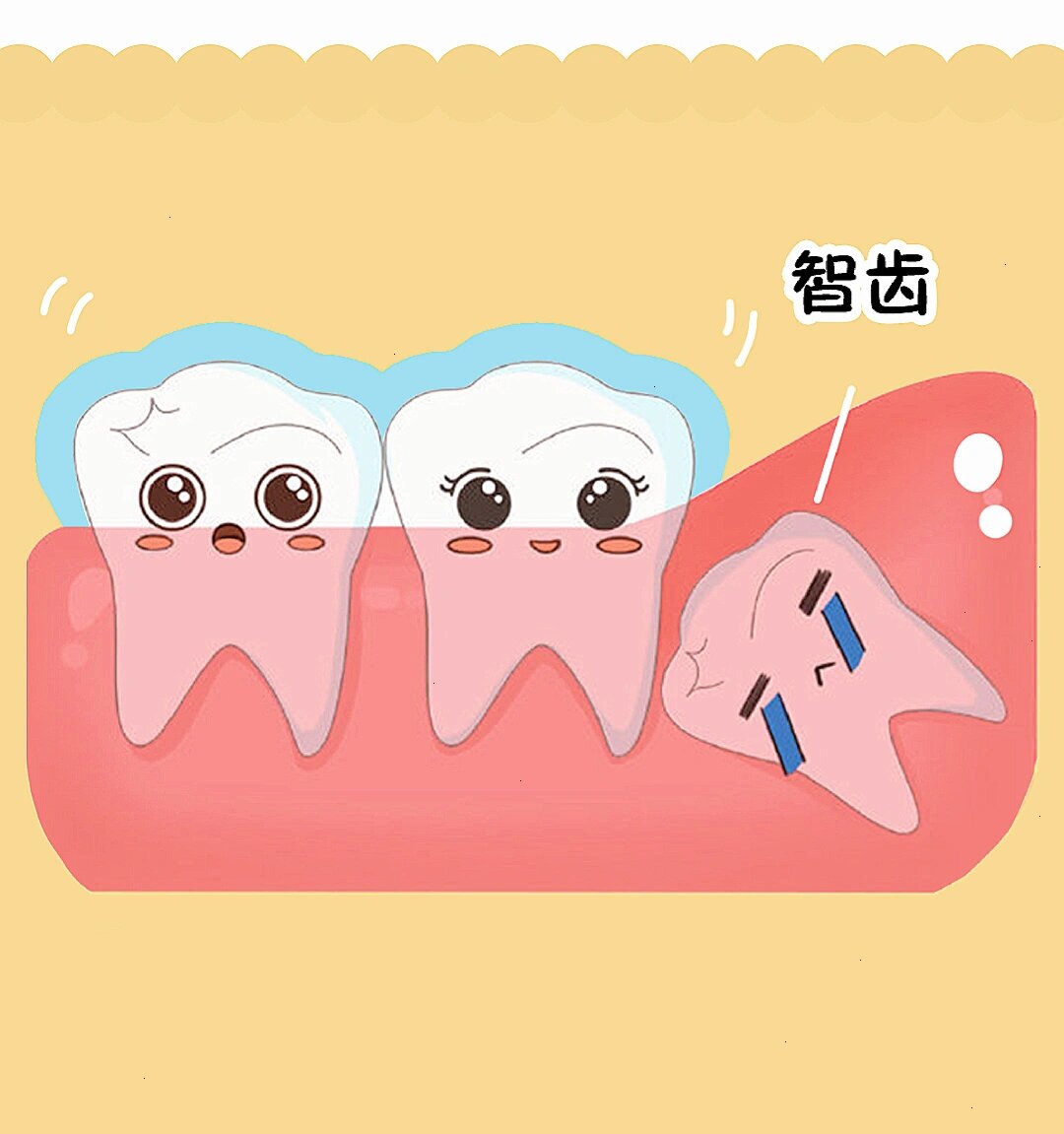 智齿到底要不要拔01这6种情况一定要拔掉!