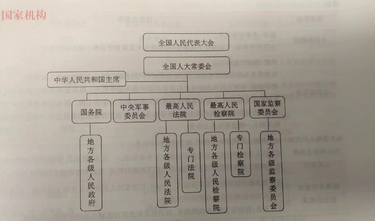 国家机构示意图图片