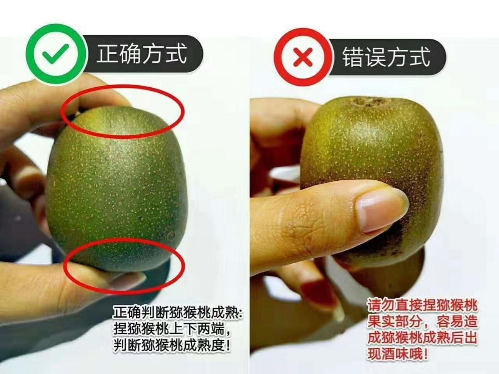 猕猴桃 催熟 技巧 070707 猕猴桃催熟方法070707 07