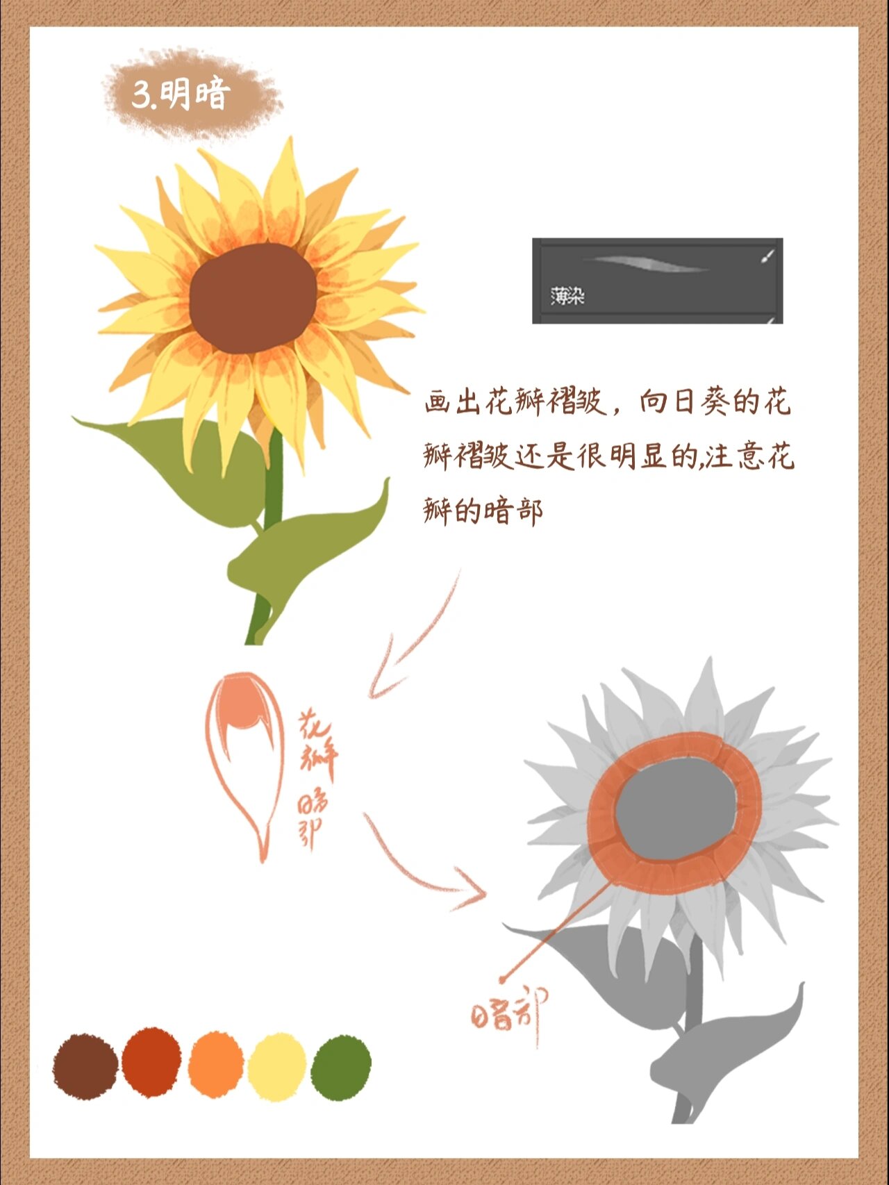 插画教程|花卉篇-向日葵97(附笔刷~)