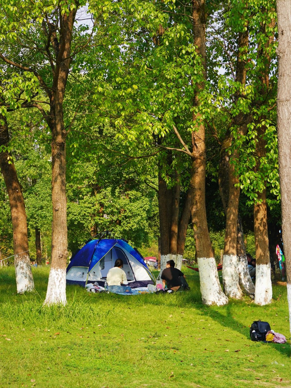 蔡家中央森林公园 | 北碚区的免费小众公园 · 99蔡家中央森林公园