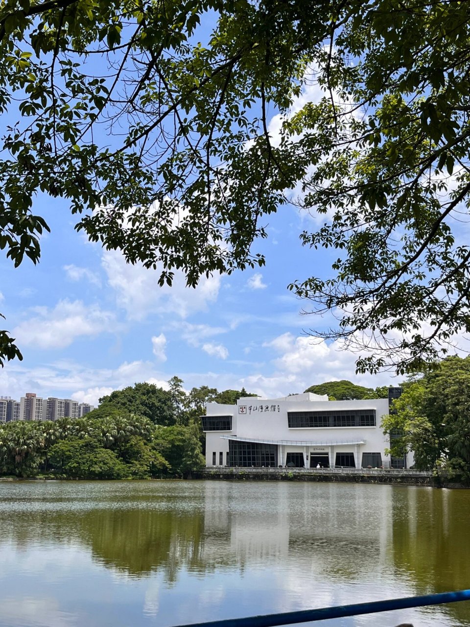 中山 逸仙湖公园 闲逛 没人能懂 就是很喜欢逛公园 街心公园 大公园