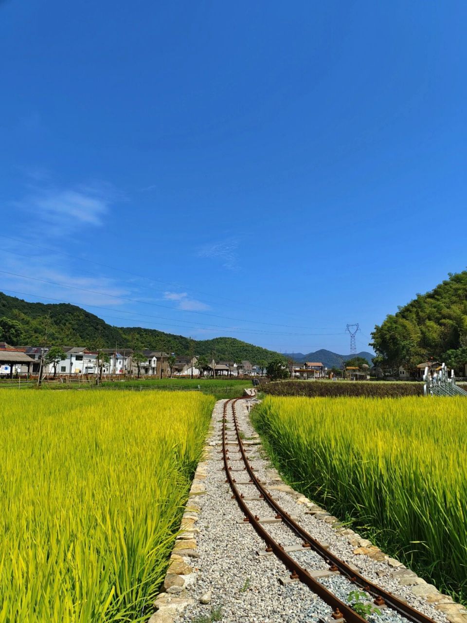 宁波乡村田园风光-拾里山谷景区      拾里山谷位于宁波东钱湖镇俞塘