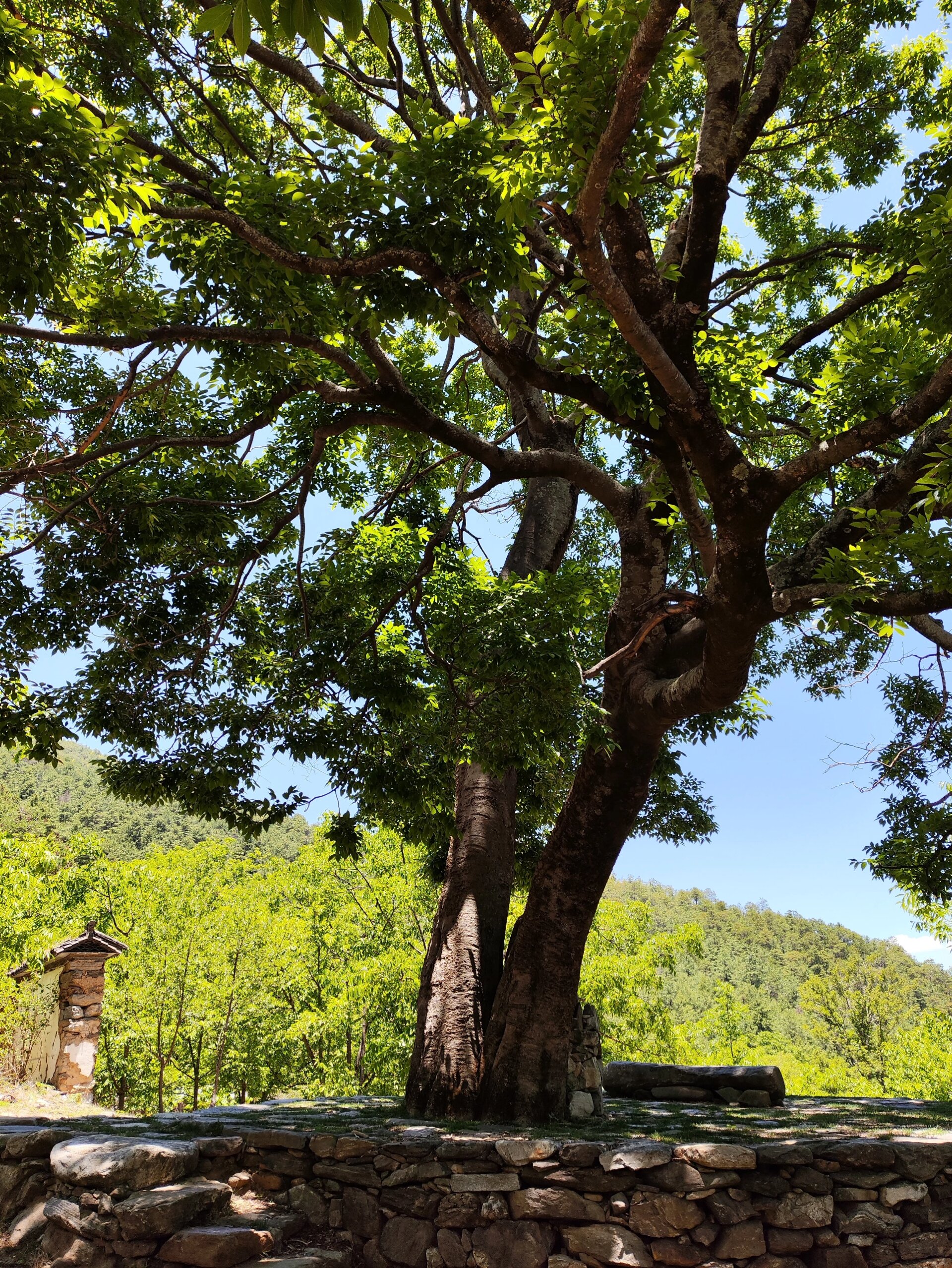 大涧口古村 67凤羽镇的大涧口村已无人居住,村落成了断壁残垣,资料