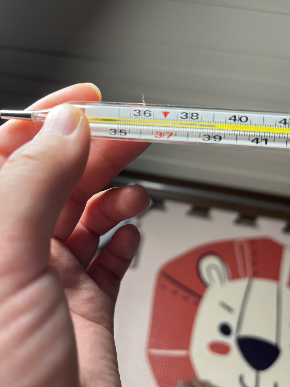 水银温度计现在竟然卖40块一根?