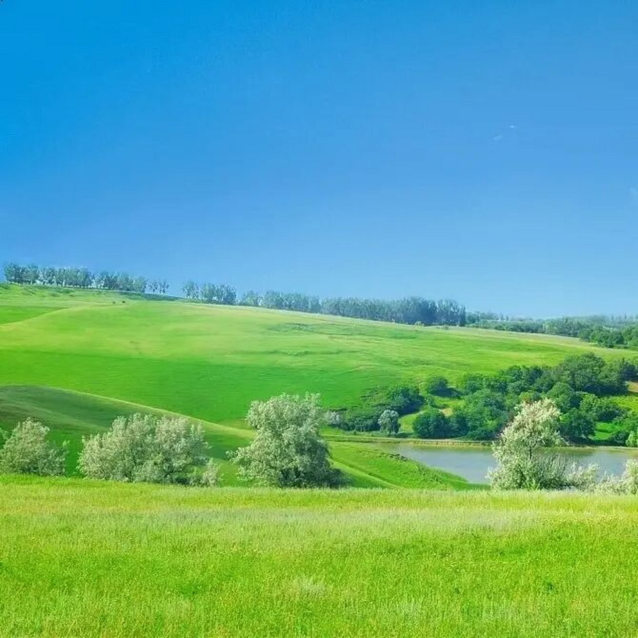 《头像分享》有山有水,天广地阔,事业聚财 山水齐来,碧空如洗,万里无