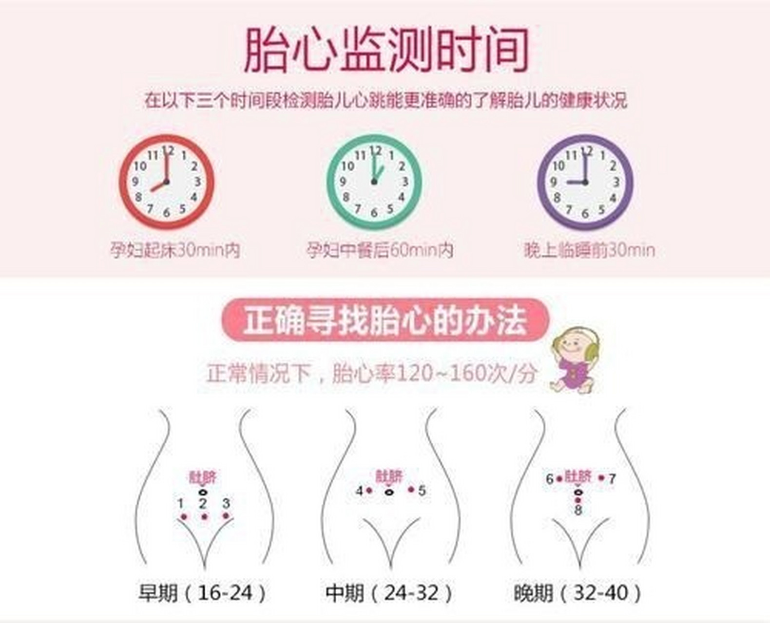 孕期不同时期的胎心位置