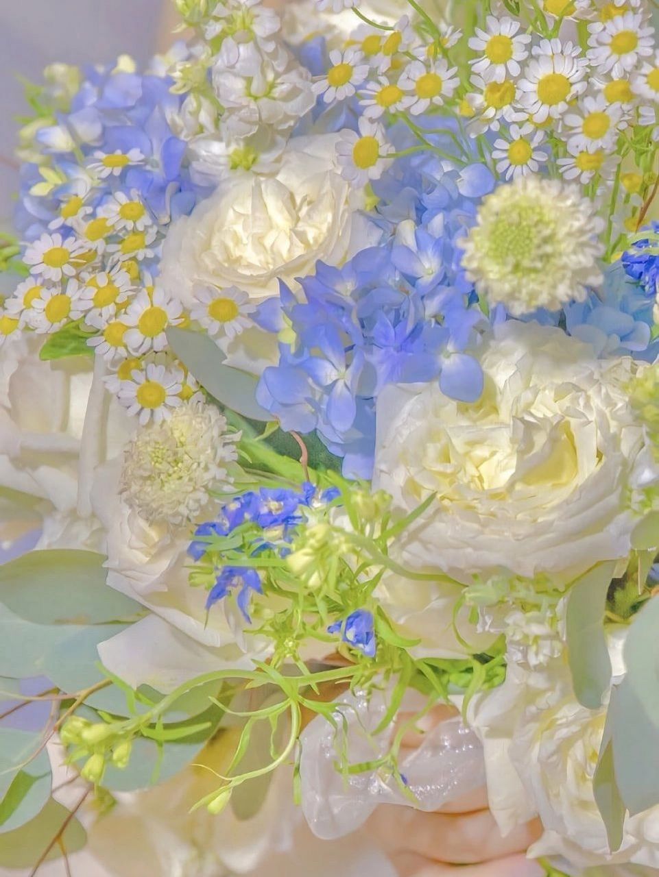 唯美花朵背景图~ 希望大家能够喜欢