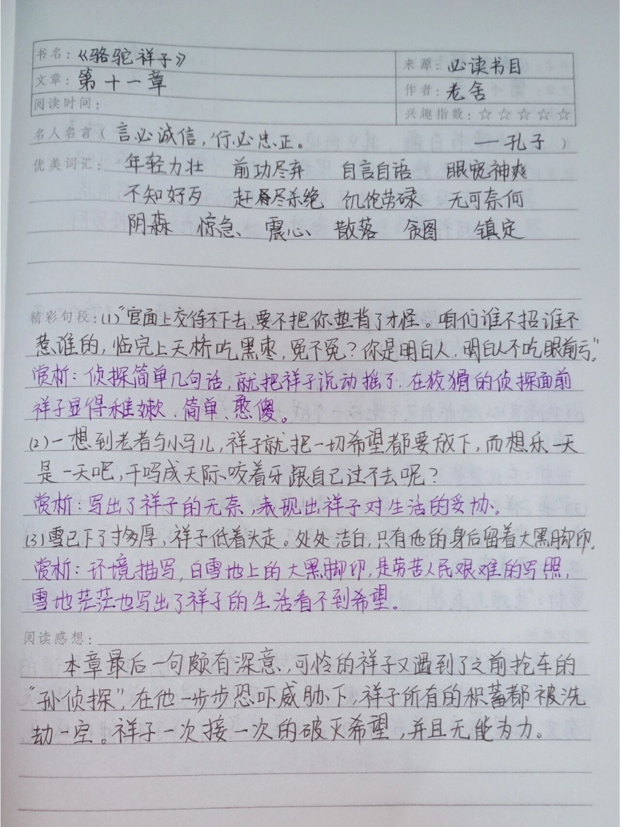 《骆驼祥子》读书笔记 ----第十一章