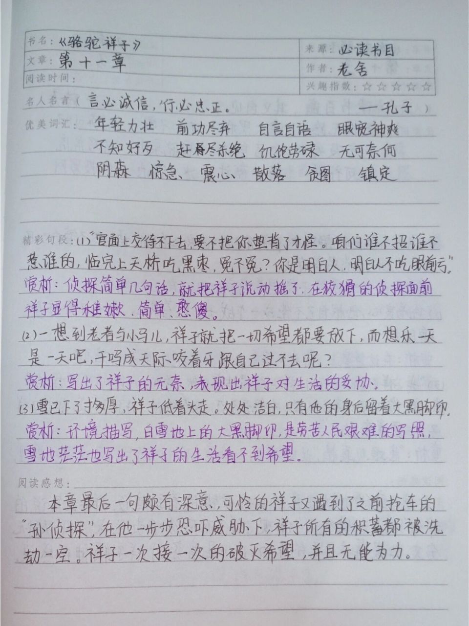 《骆驼祥子》读书笔记 ----第十一章 《骆驼祥子》读书笔记 ----第