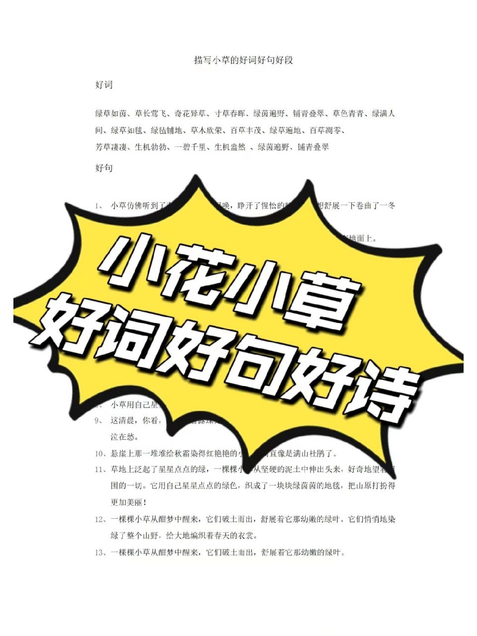 四季海棠花的花芯很小你必须仔细掰开花瓣,才能看见里面的小花蕊.