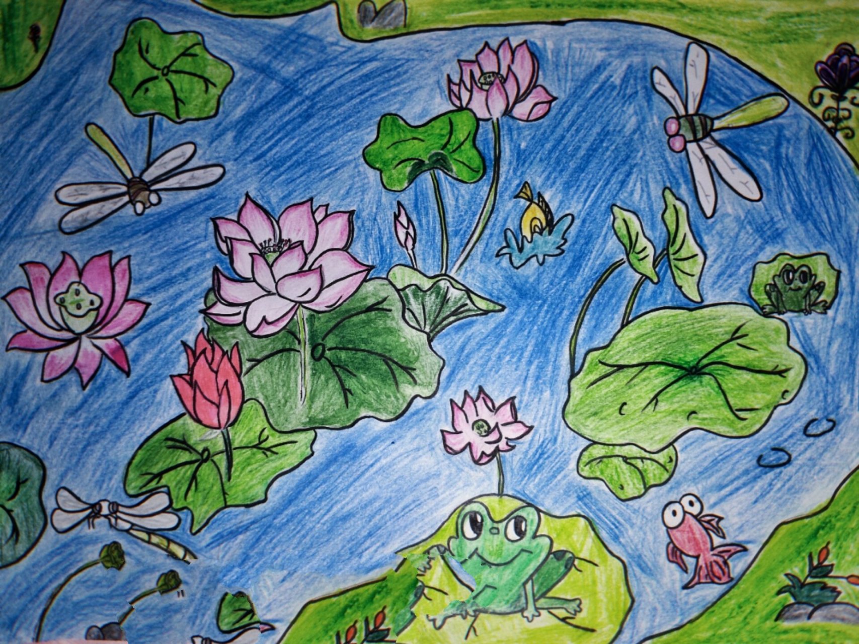 【荷花池塘】儿童简笔画