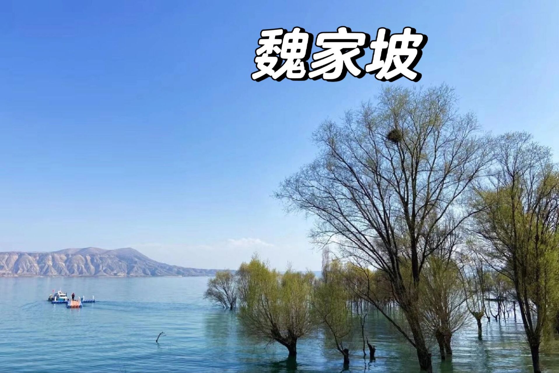 关于兰州刘家峡旅游攻略一日游多少钱啊呢的信息