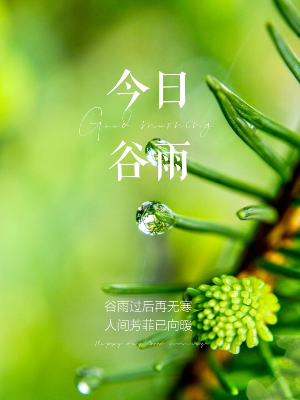 今日谷雨|朋友圈高级文案|小清新美图海报 01 雨后万物长,山海春色安.
