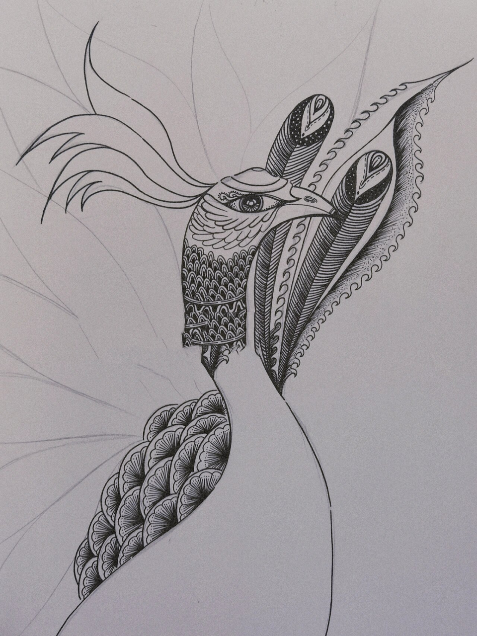 线描画 线描孔雀 黑白线描画(2) 线描孔雀08各种线描元素的创意搭配