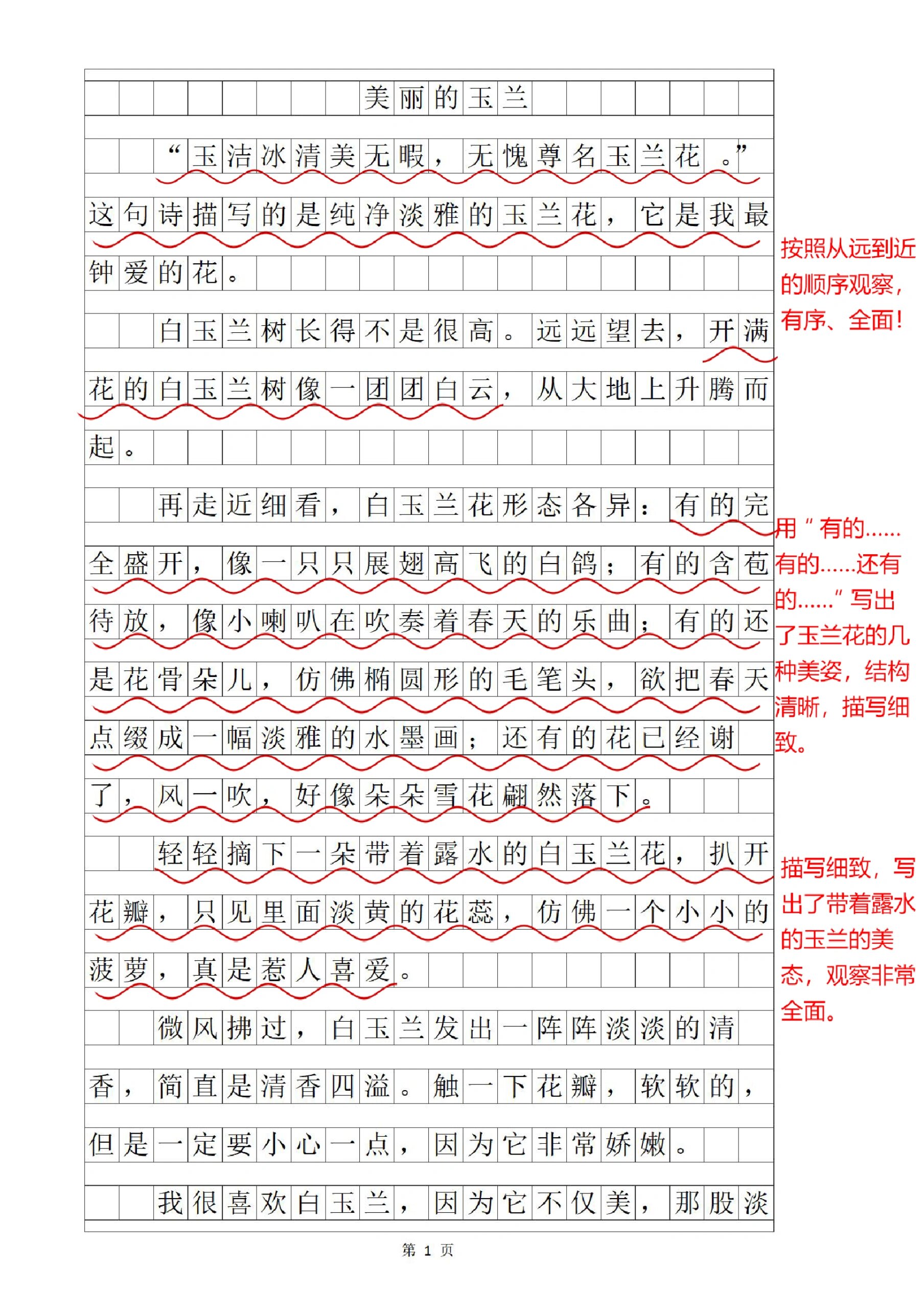 紫玉兰的作文图片