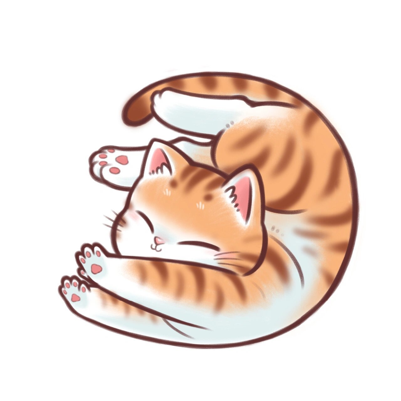 伸懒腰的猫咪(9只) 大家好  我是一只伸懒腰的小猫咪 伸懒腰最舒服了