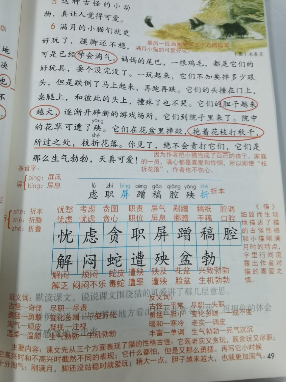 四年级下第13课《猫》预习批注笔记