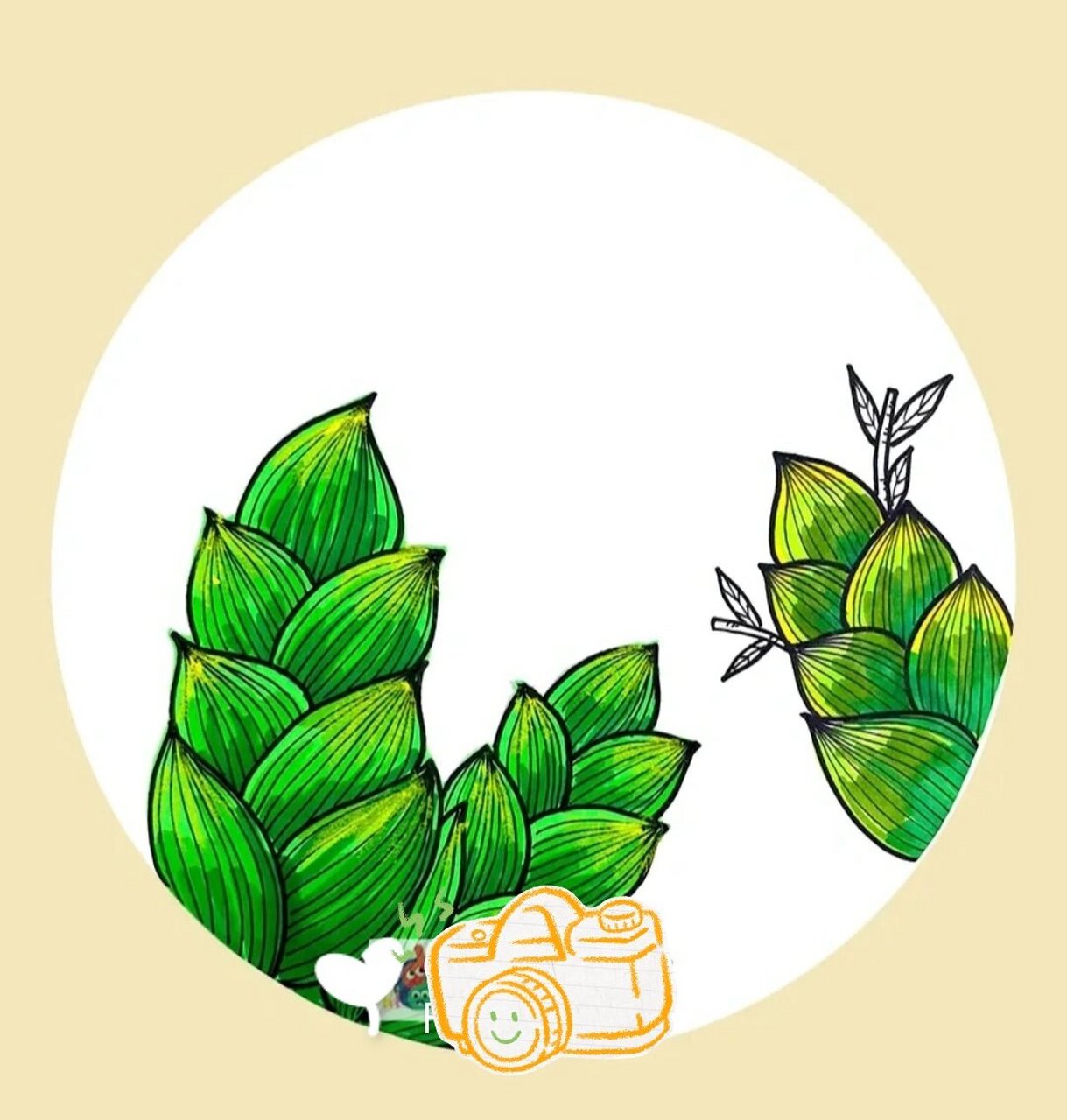 观察春笋的图片或者实物,了解它的特点.