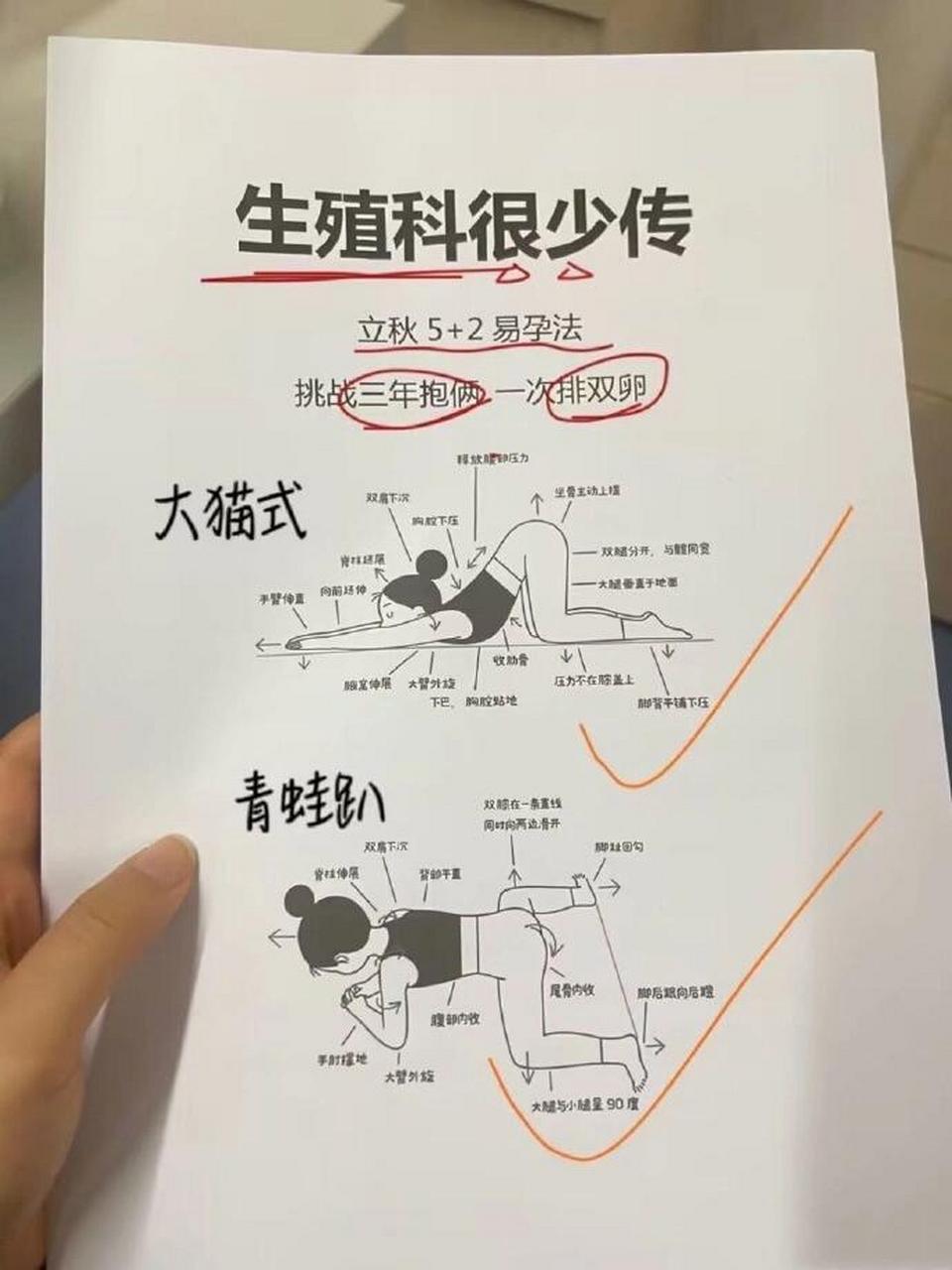 怎样才能最快怀孕姿势图片