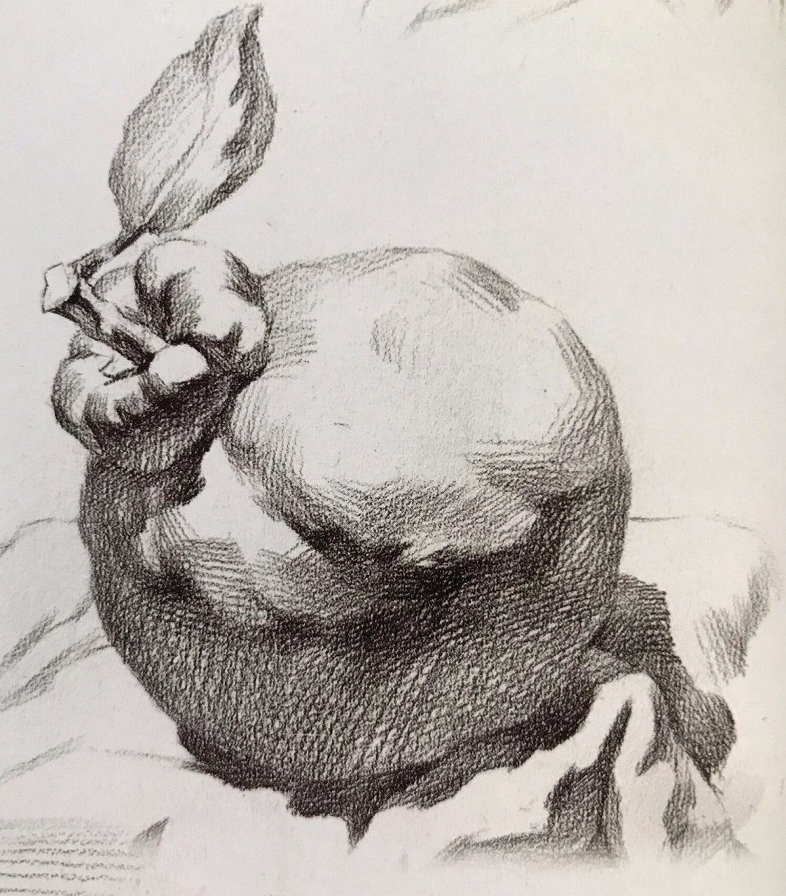 素描橘子详细步骤图